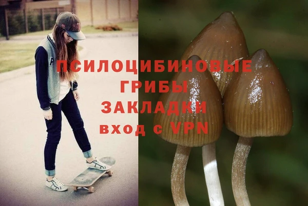 амфетамин Карпинск