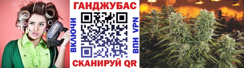 Канабис OG Kush Красный Холм